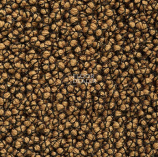 Ковролин Best Wool Nature Vivaldi I-AB Flavoured Ginger фото 1 | FLOORDEALER